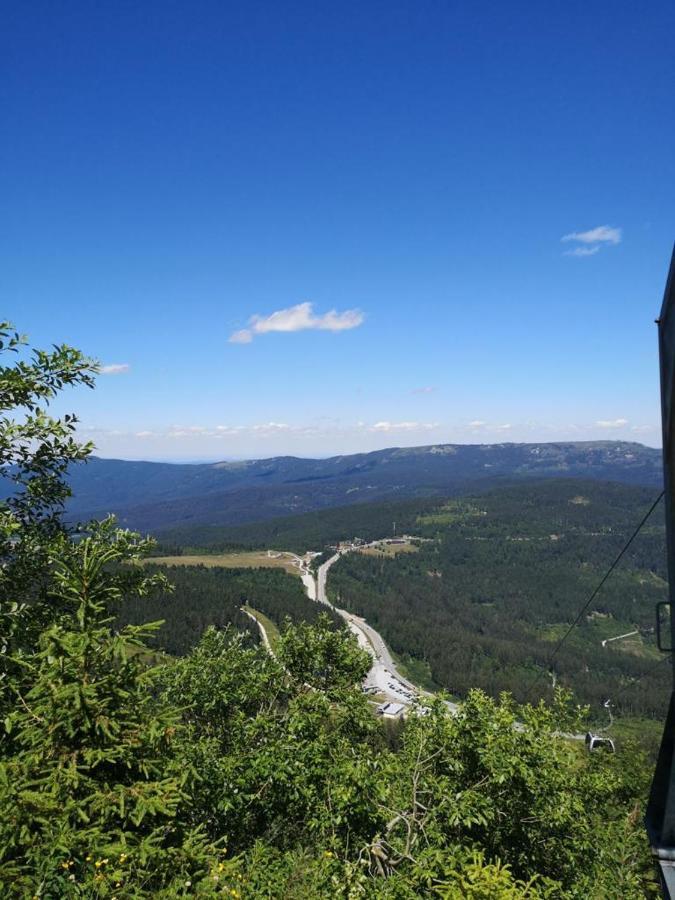 Idyllisch Gelegene Ferienwohnung Im Herzen Des Bayerischen Waldes Zachenberg Exterior foto