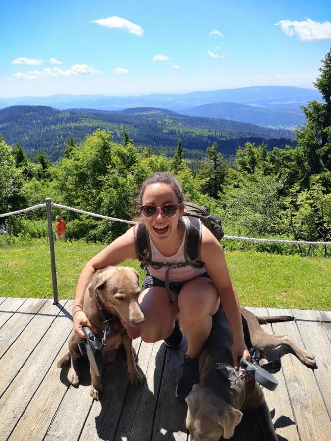 Idyllisch Gelegene Ferienwohnung Im Herzen Des Bayerischen Waldes Zachenberg Exterior foto